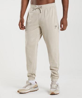 Gymshark Essential Oversized Muške Jogger Hlače Sive | HR 2984JPQ